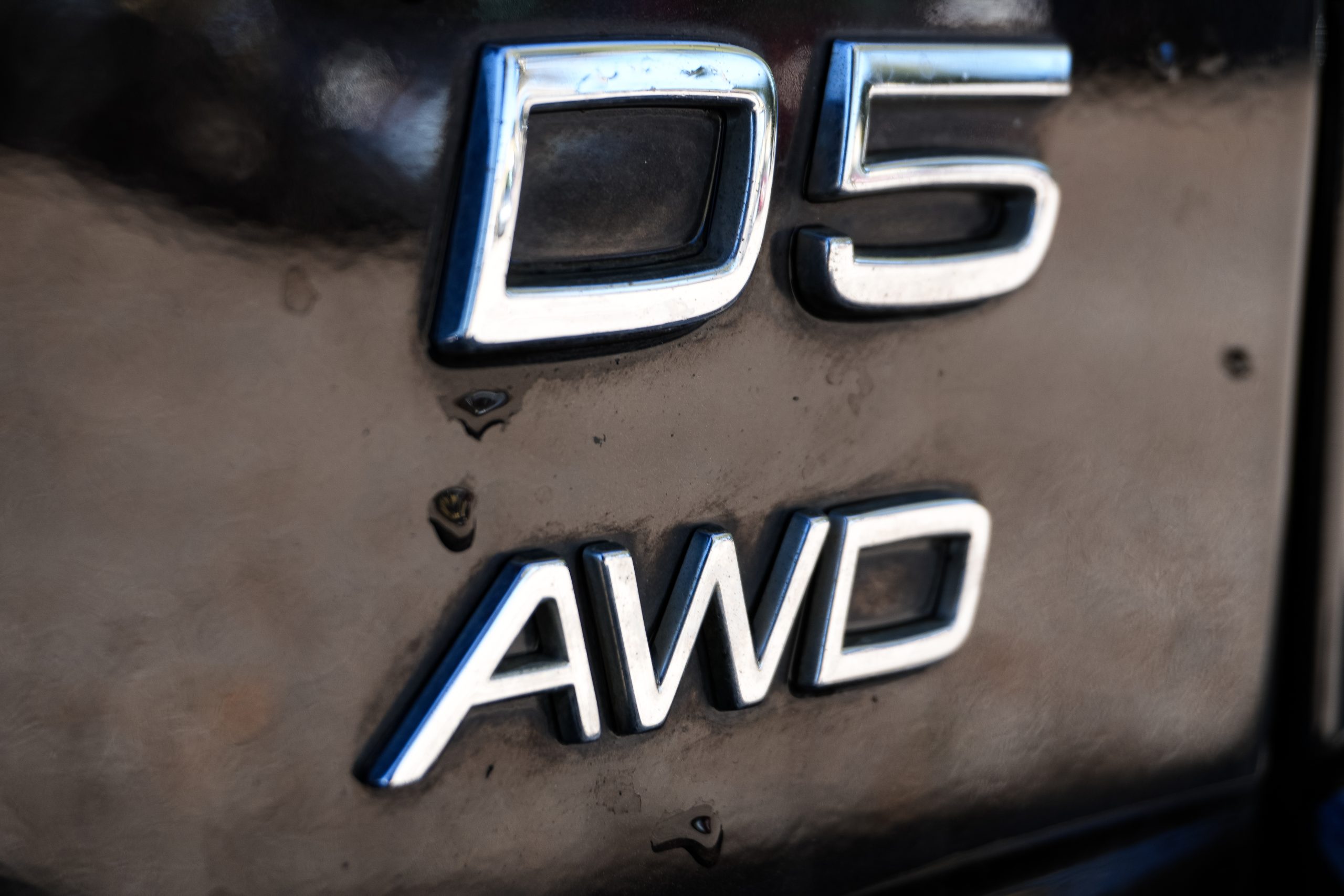 DSC02173